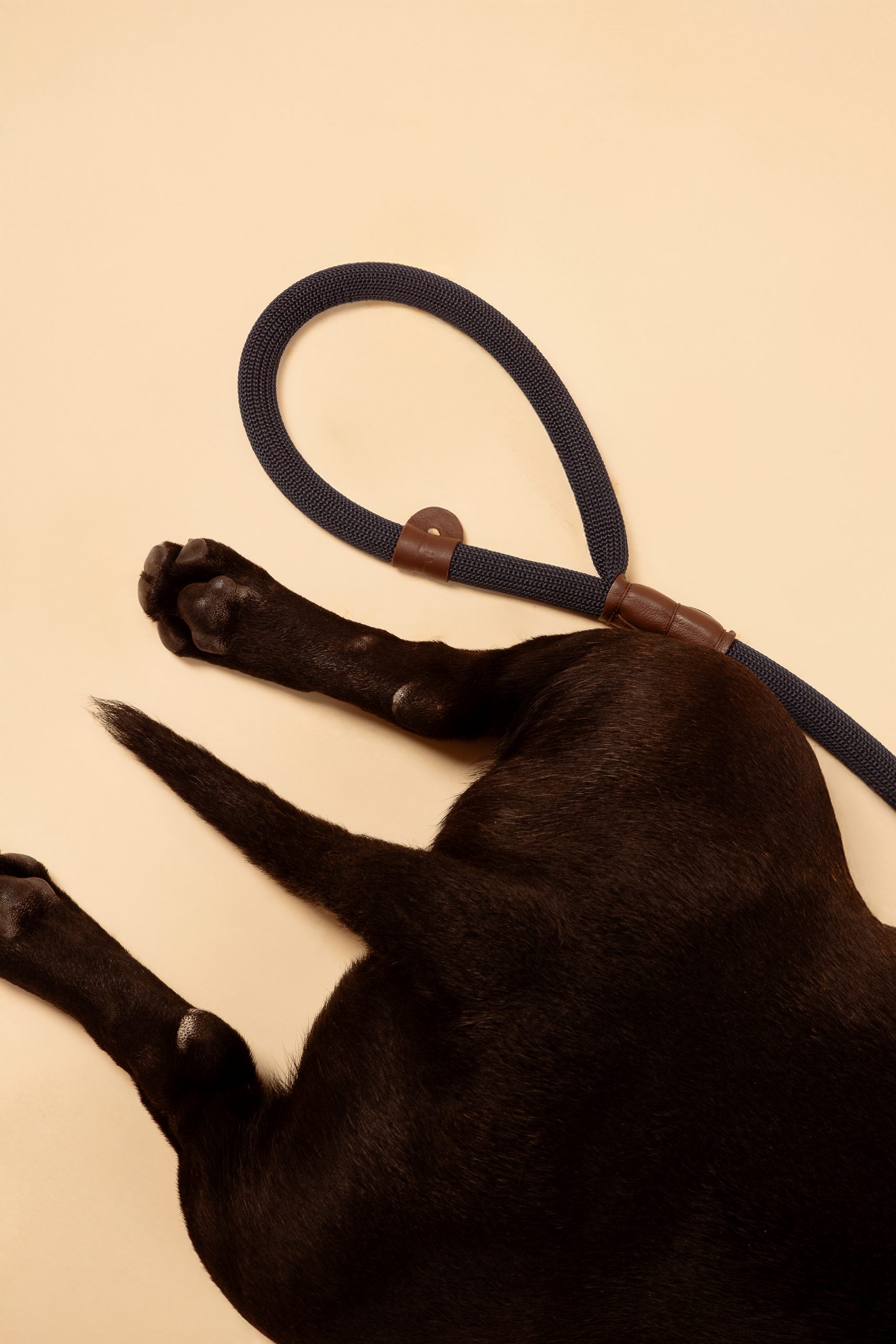 guia unificada comfort mirtilo - Imagem 3