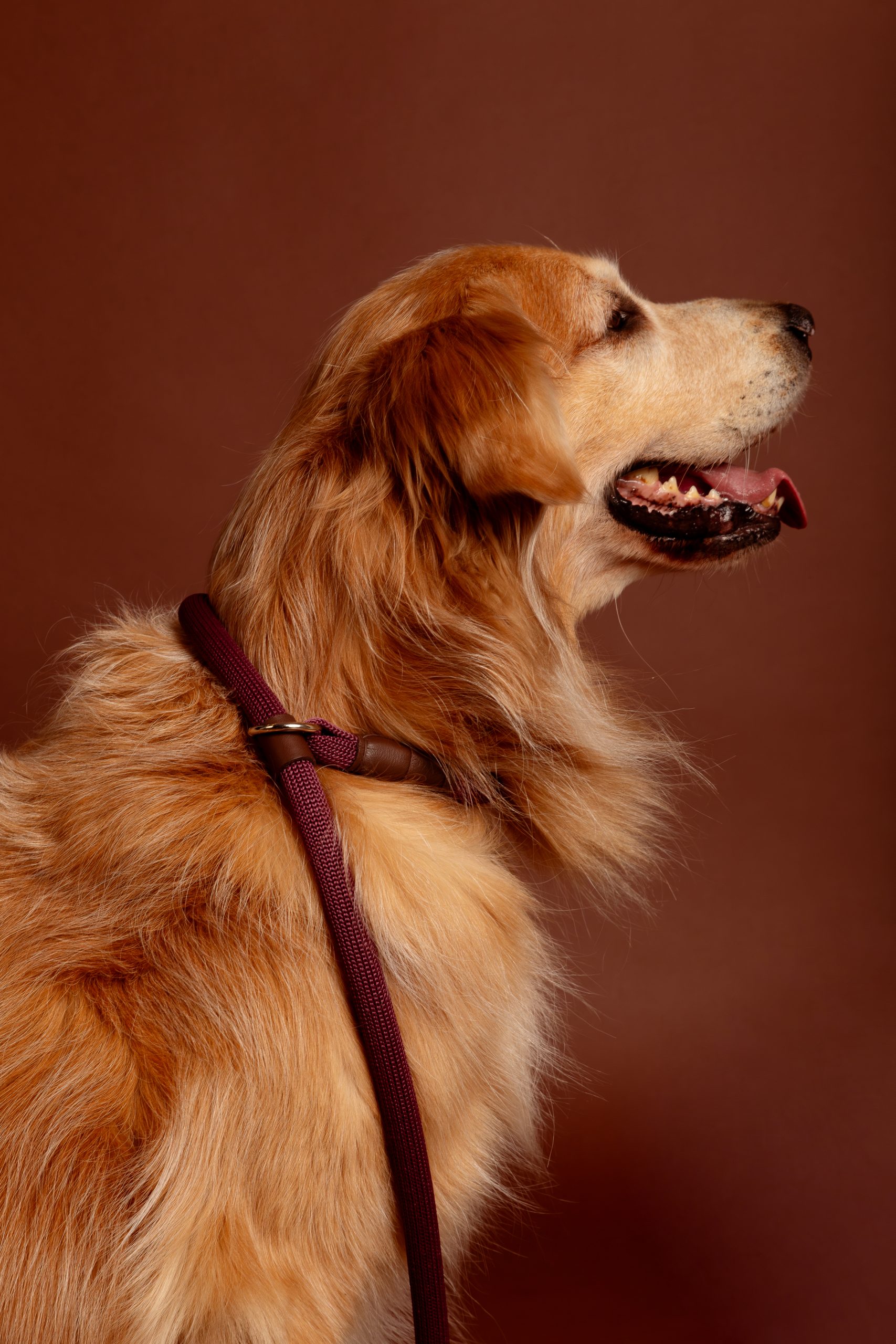 guia unificada comfort romã - Imagem 2