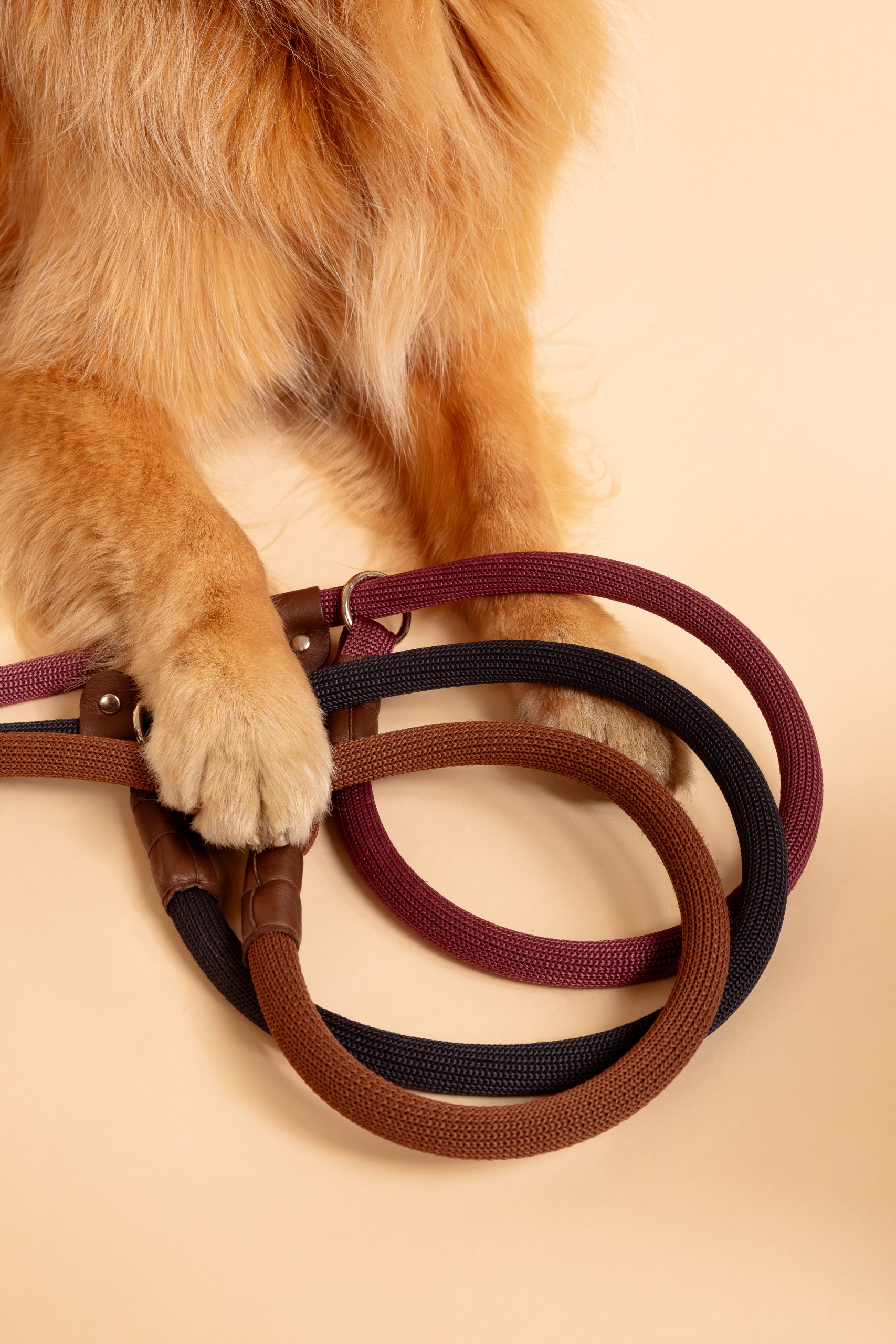 guia unificada comfort tâmara - Imagem 2